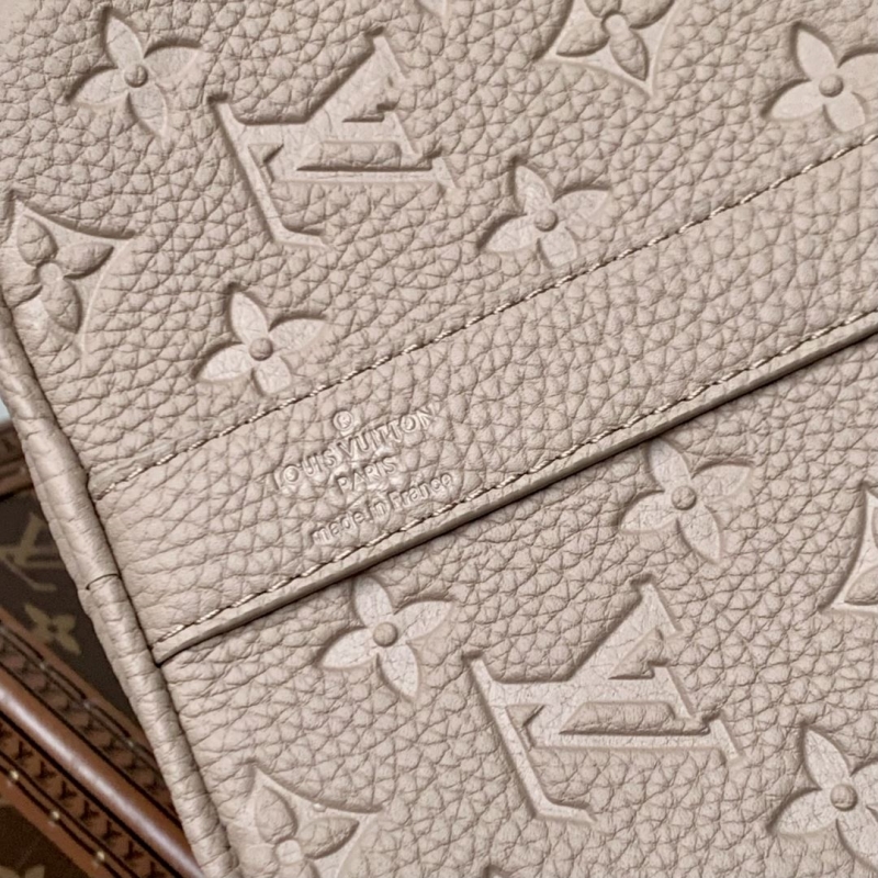 LV Travel Bags
